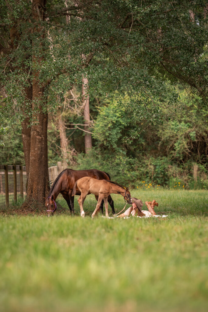 a little girl laying in a green pasture reading a book to her two horses