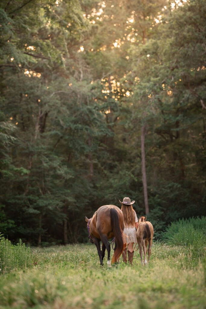 A little girl walking her two horse's into the woods